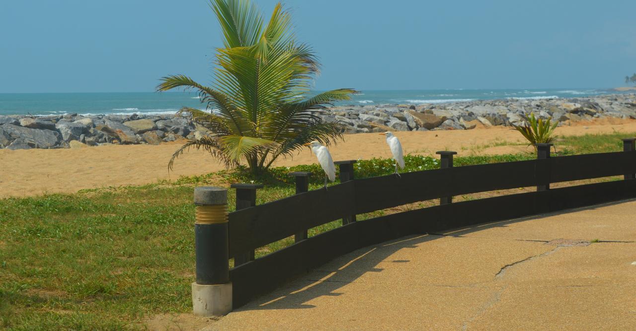 Elmina Bay Resort المظهر الخارجي الصورة